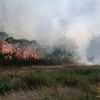 FDNY Battles Large Brush Fires On Staten Island